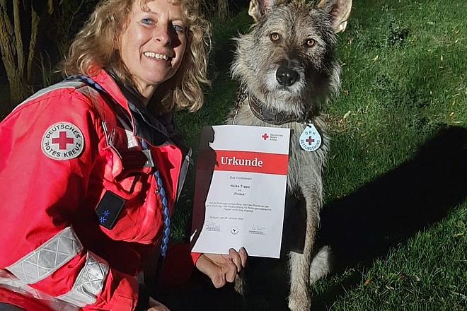 DRK Rettungshunde Nürtingen Kirchheim Flächenprüfung Suchhund